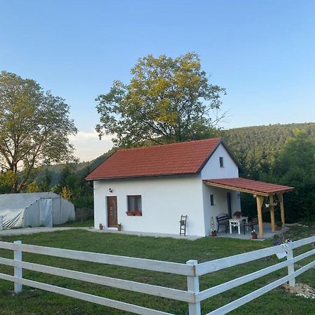 Hill House Emir Villa Bihać Eksteriør billede