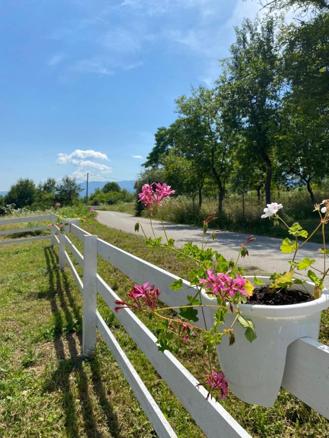 Hill House Emir Villa Bihać Eksteriør billede