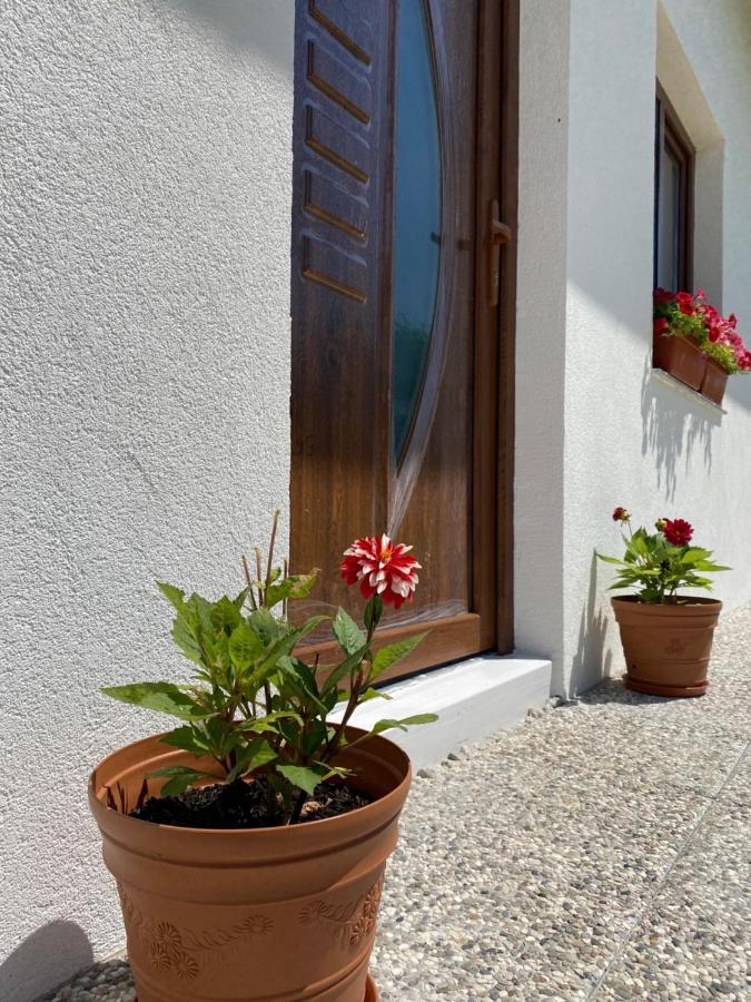 Hill House Emir Villa Bihać Eksteriør billede